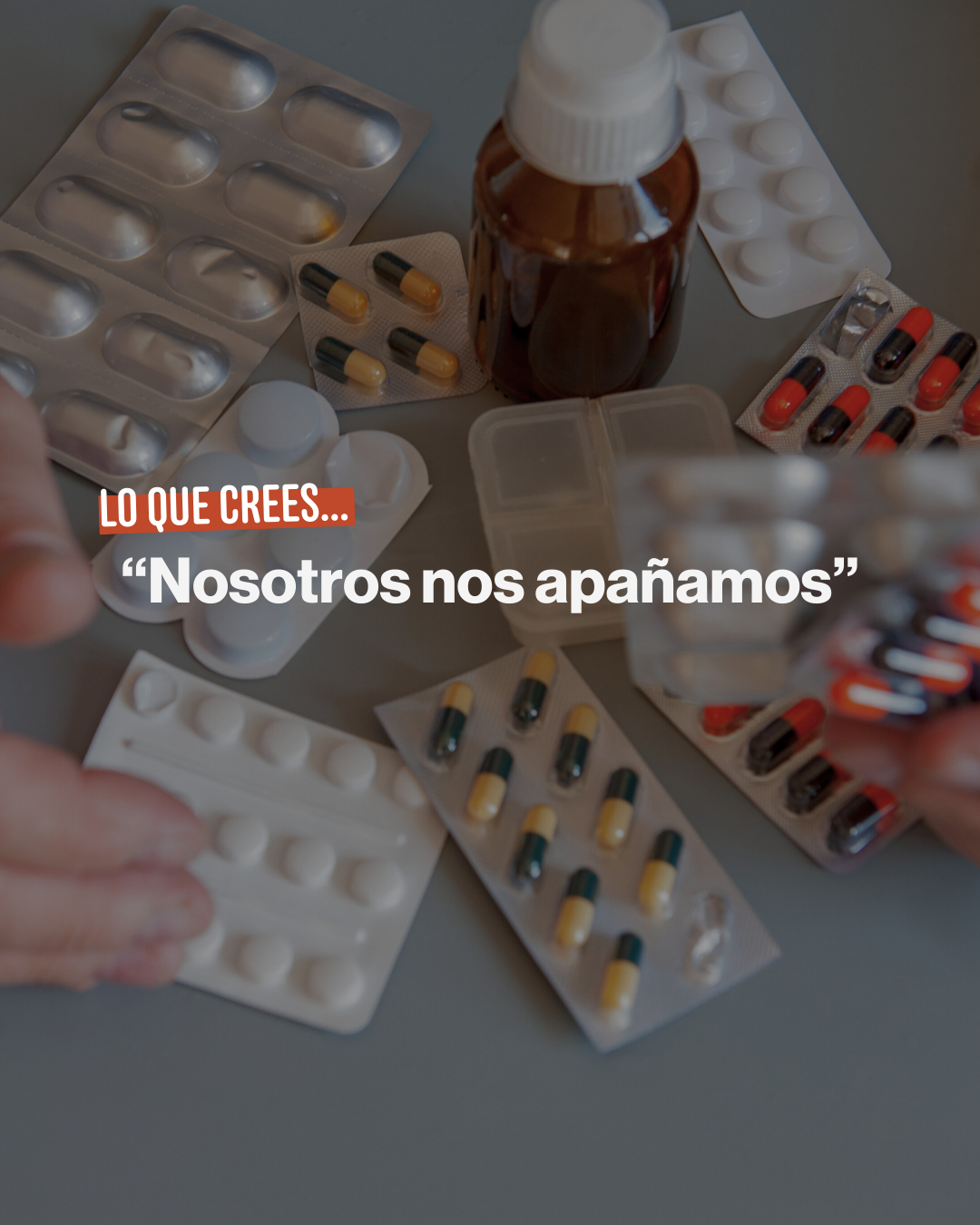 Acompañamiento profesional en el hogar